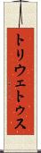 トリウェトゥス Scroll