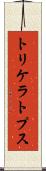 トリケラトプス Scroll
