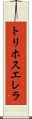 トリホスエレラ Scroll