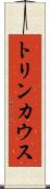 トリンカウス Scroll