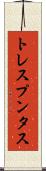 トレスプンタス Scroll