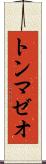 トンマゼオ Scroll