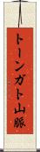 トーンガト山脈 Scroll