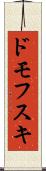 ドモフスキ Scroll