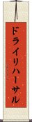 ドライリハーサル Scroll