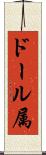 ドール属 Scroll