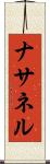 Nathanel Scroll