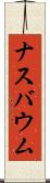 ナスバウム Scroll