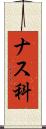 ナス科 Scroll
