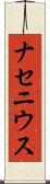 ナセニウス Scroll