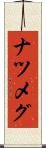 ナツメグ Scroll