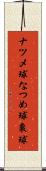 ナツメ球 Scroll