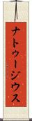 ナトゥージウス Scroll