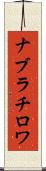 ナブラチロワ Scroll
