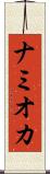 ナミオカ Scroll