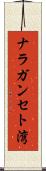 ナラガンセト湾 Scroll