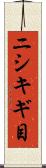 ニシキギ目 Scroll