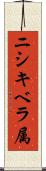 ニシキベラ属 Scroll