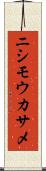 ニシモウカサメ Scroll