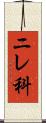 ニレ科 Scroll