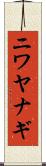 ニワヤナギ Scroll