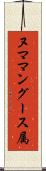 ヌママングース属 Scroll