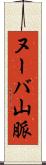 ヌーバ山脈 Scroll