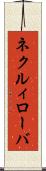 ネクルィローバ Scroll