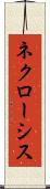 ネクローシス Scroll