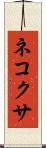 ネコクサ Scroll
