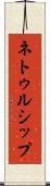 ネトゥルシップ Scroll