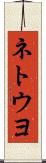 ネトウヨ Scroll