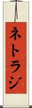 ネトラジ Scroll