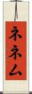 ネネム Scroll