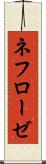 ネフローゼ Scroll