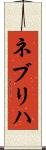 ネブリハ Scroll