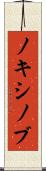 ノキシノブ Scroll