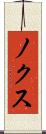 ノクス Scroll