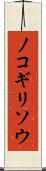 ノコギリソウ Scroll