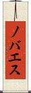 ノバエス Scroll