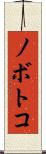 ノボトコ Scroll