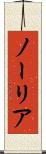 ノーリア Scroll