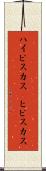 ハイビスカス(P) Scroll