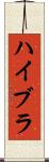 ハイブラ Scroll