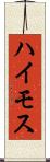 ハイモス Scroll