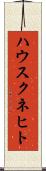 ハウスクネヒト Scroll