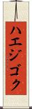 ハエジゴク Scroll