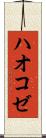 ハオコゼ Scroll