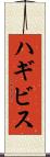ハギビス Scroll