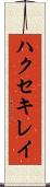 ハクセキレイ Scroll